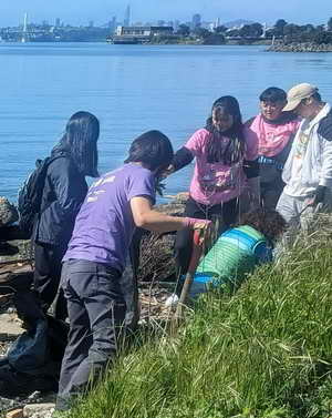 UC Berkeley students removed invasive pepperweed from the Berkeley shoreline